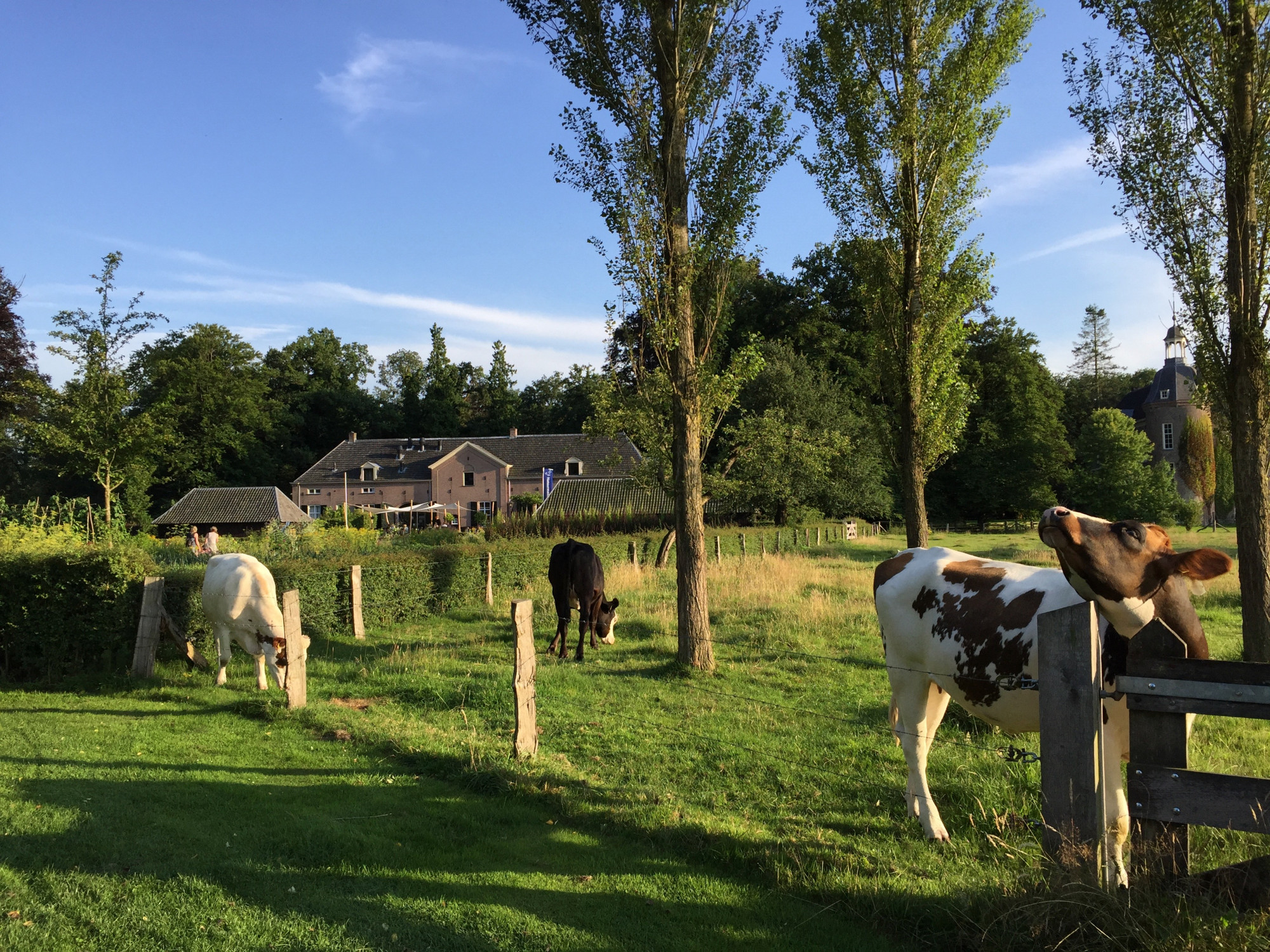 Keuken van Hackfort 4 gangen wildmenu